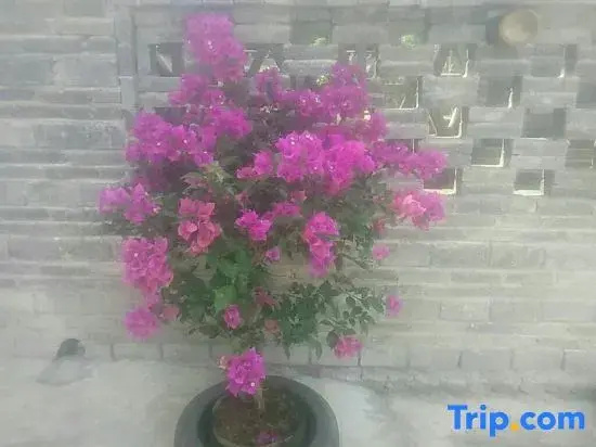 Yangshuo Banshan Courtyard (Yulong River Rafting Pier)