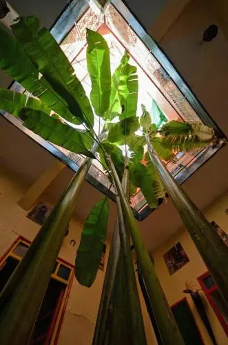 Riad Espagne