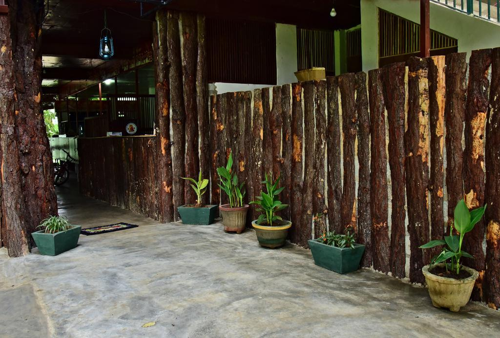 Pines Hut