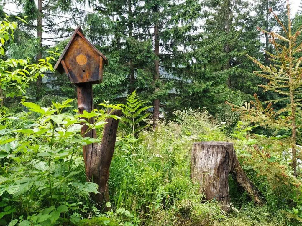 PetrikHolm