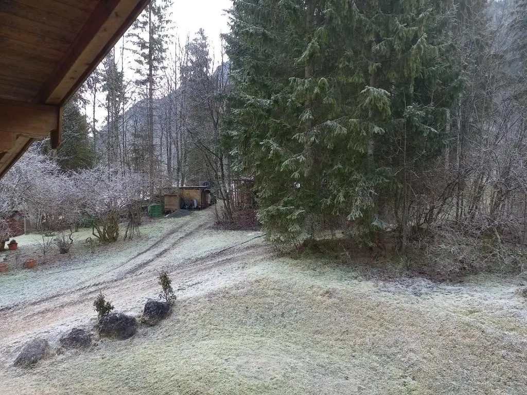 Ferienwohnung Am Wald