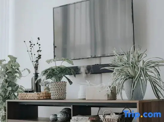 Omahe Malang Boho Urban Jungle Private House