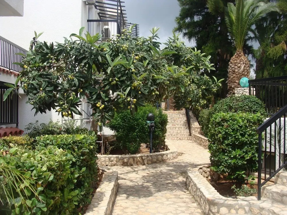 Aphelandra Hotel Apartments