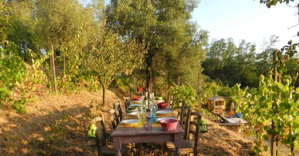 Agriturismo Cerrolungo