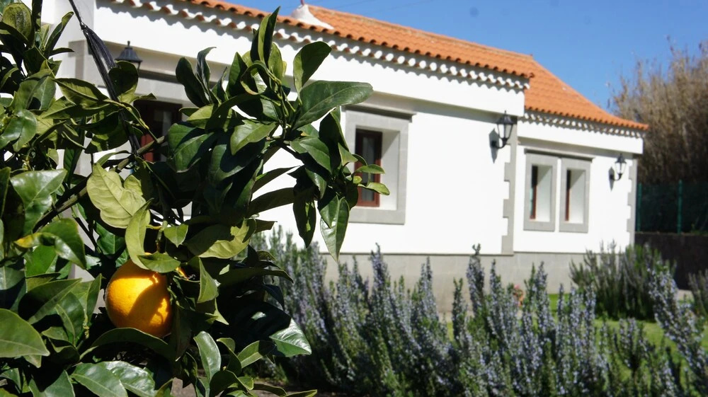Casa Aislada la Cuesta