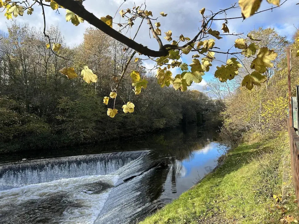 Beautiful one bed Apartment in Glasgow West End