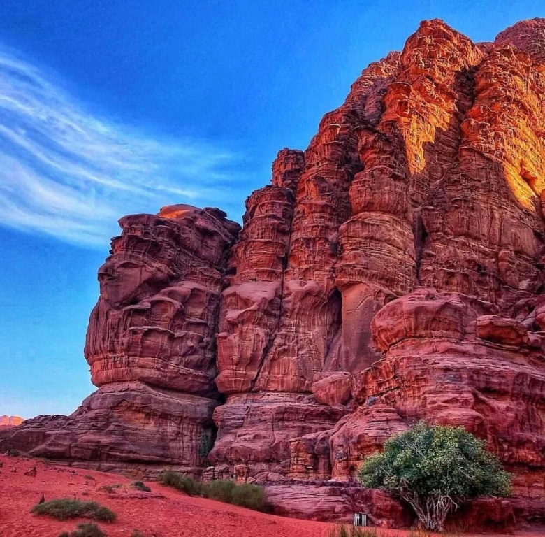 Bedouin Nature Camp