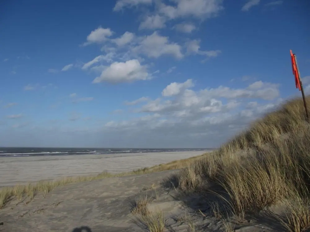 Holiday Apartment Wattblick Juist