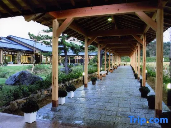 Yuhigaura Onsen Ryokan Yuhigaura