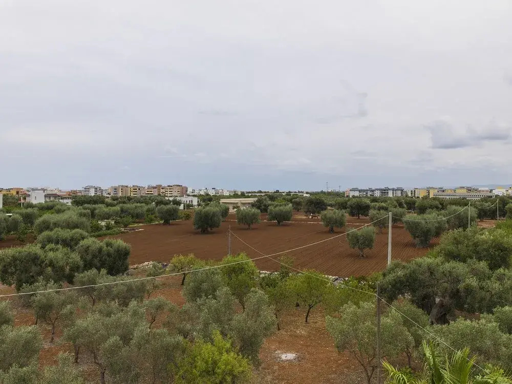 Residenza Il Sole