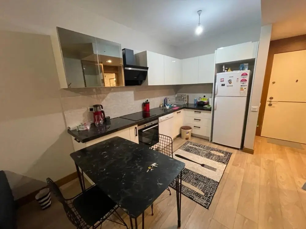 Business-friendly Residence Flat in Fikirtepe