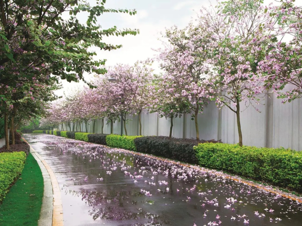 Shanshui Villa Hotel