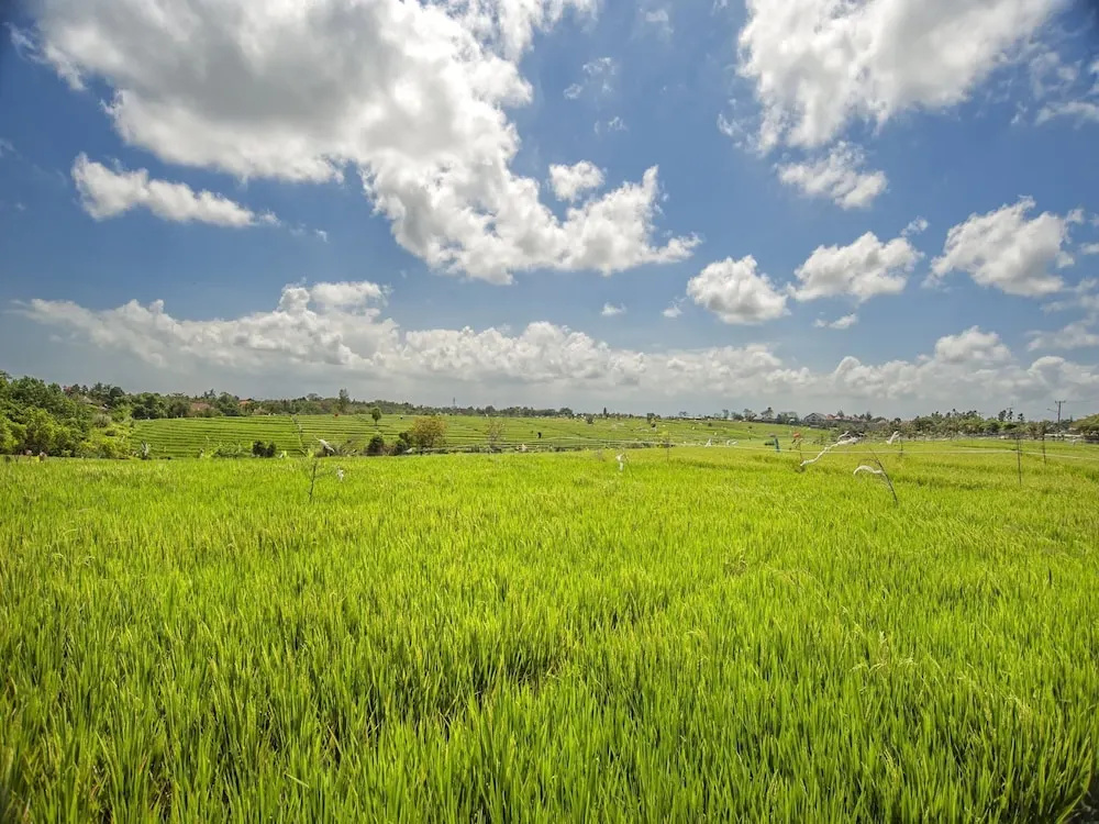 Best Selling Family 5 Bedrooms Pool Villa in Canggu