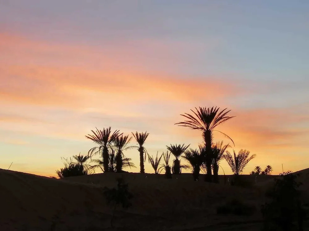 Sahara Camp & Camel Trek