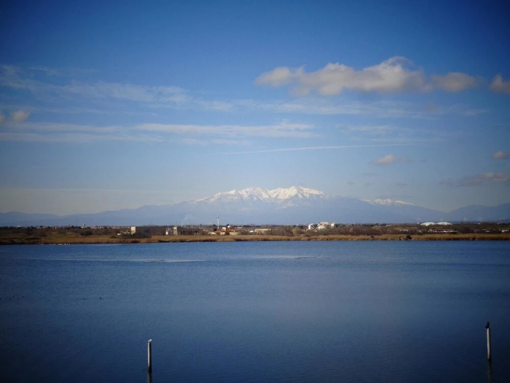 Apartment With one Bedroom in Le Barcarès, With Wonderful Lake View an