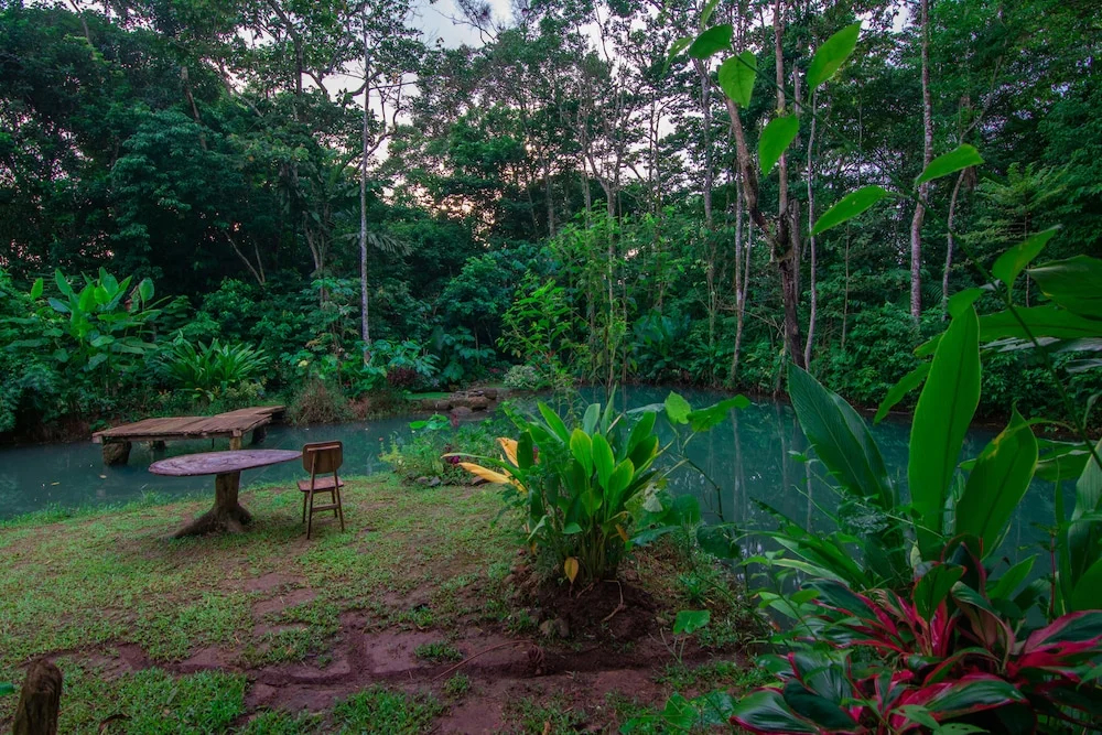 Santuario de Ranas - Explora nuestro paraíso natural