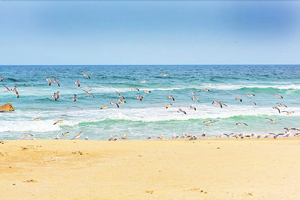 Sokcho Dal Beach Pension
