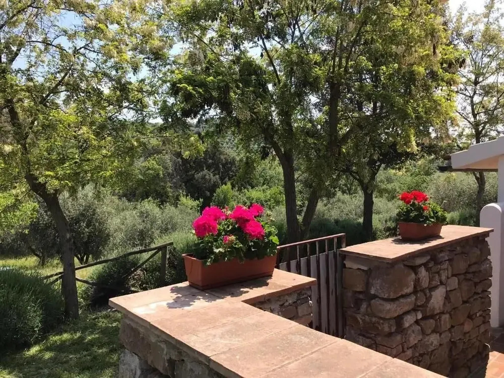 Tenuta Le Mandorlaie Agriturismo