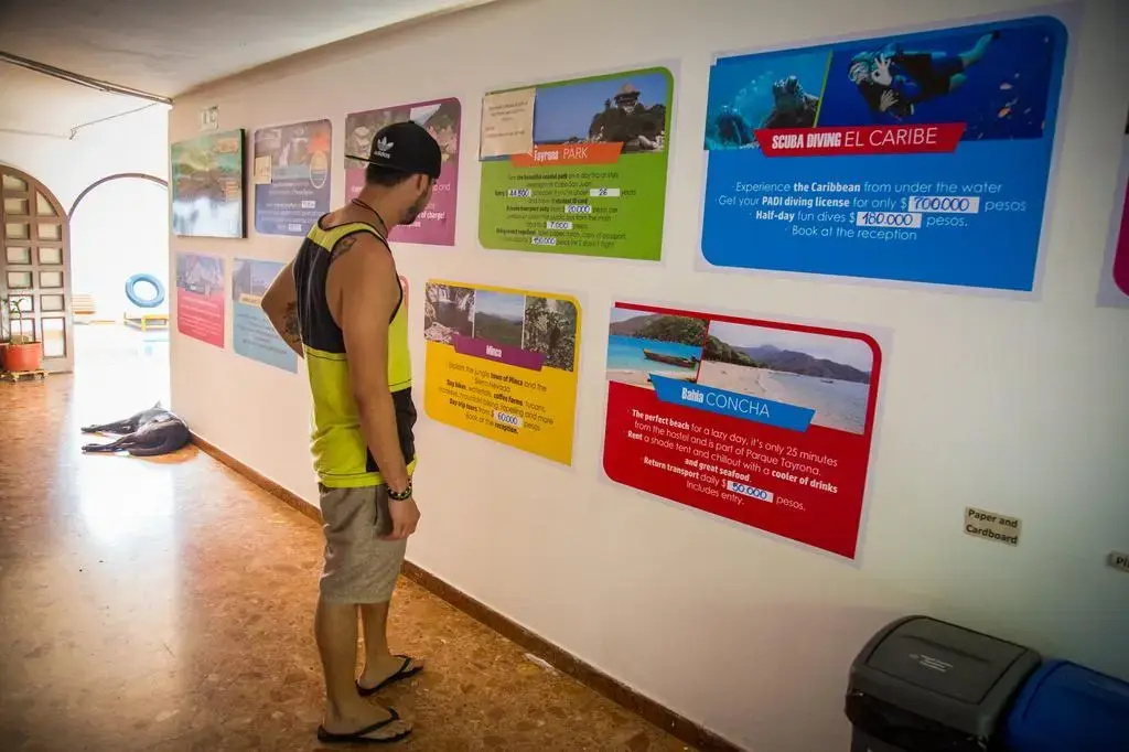 Drop Bear Hostel