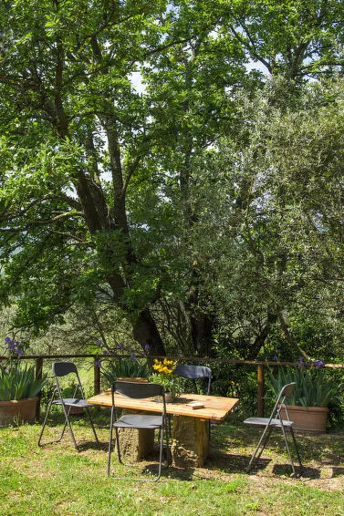 Holiday Home Casolare Ser Chelino by Interhome