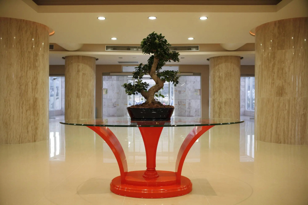 Sun Palace Hotel - All inclusive