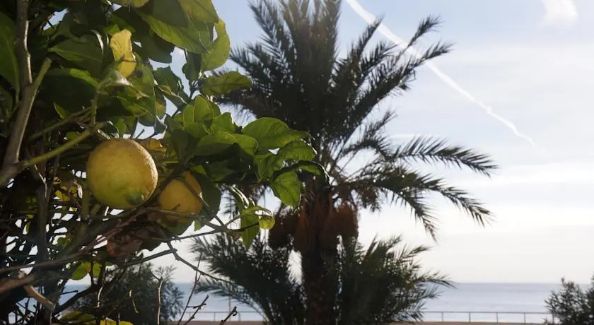 Promenade Lemon Apartment