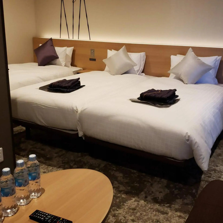 Royal Twin Hotel Kyoto Hachijoguchi