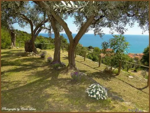 Villa Pierina