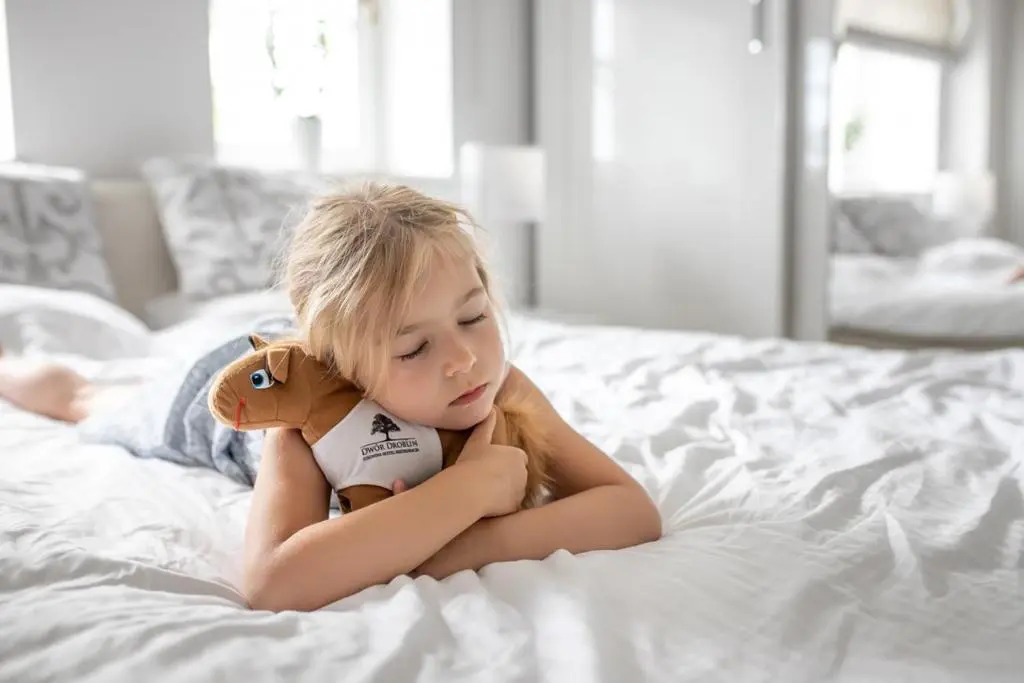 Hotel&SPA Dwór Droblin