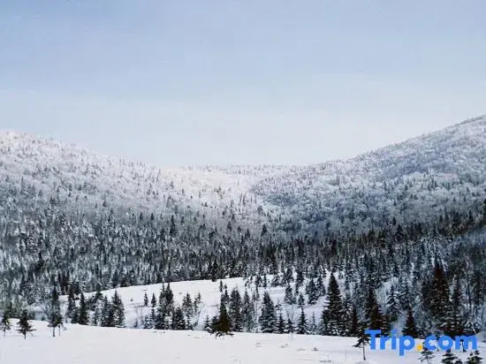 Jiayi Inn (China Snow Valley Scenic Area Store)