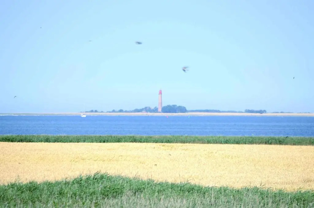 Fehmarn Ostseeferien FH4Haus Schilfrauschen 1301