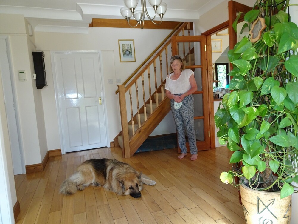 Drinkstone Park Bed And Breakfast