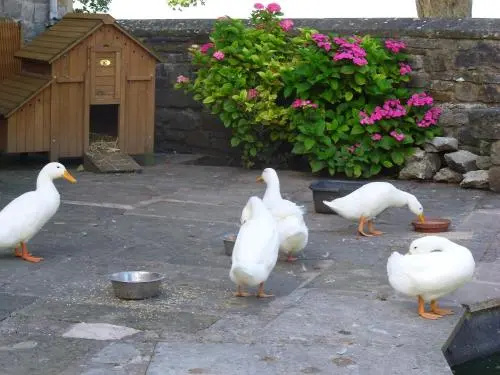 Tithe Barn Bed and Breakfast