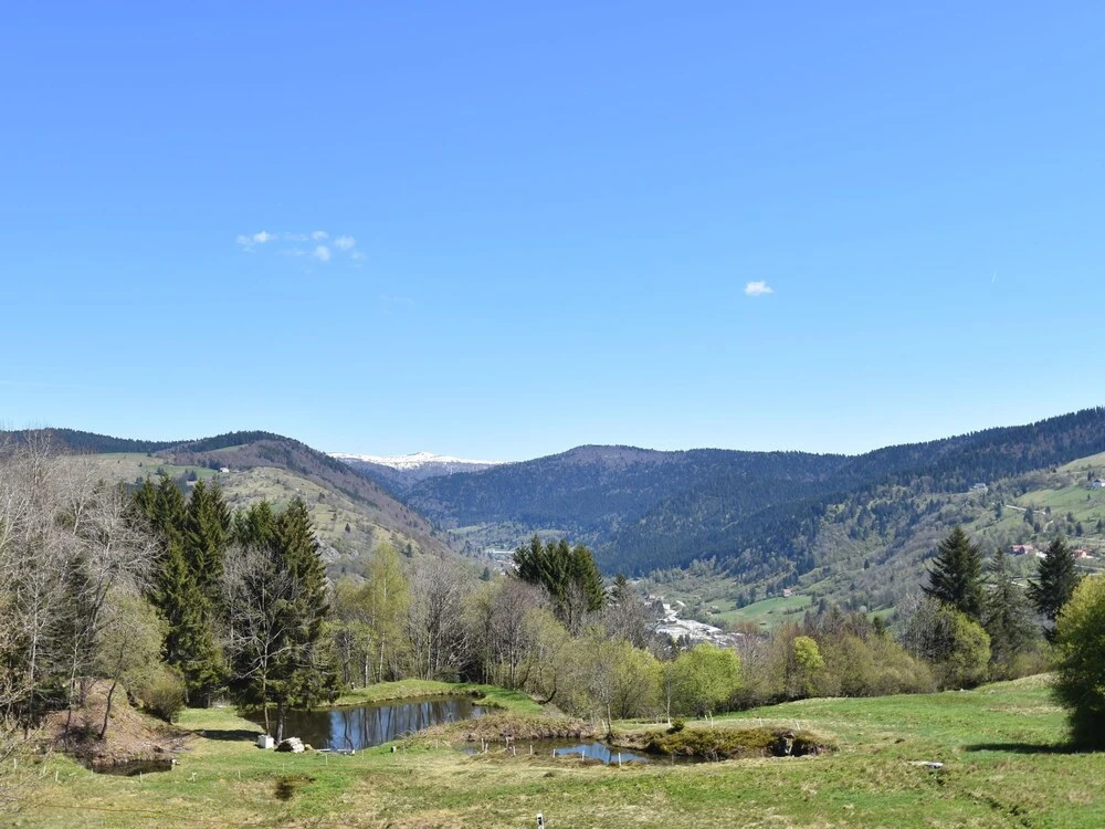 Wing of a Farm, in the Centre of the Ballon des Vosges