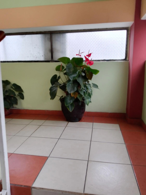 Hotel Amazonia y sol