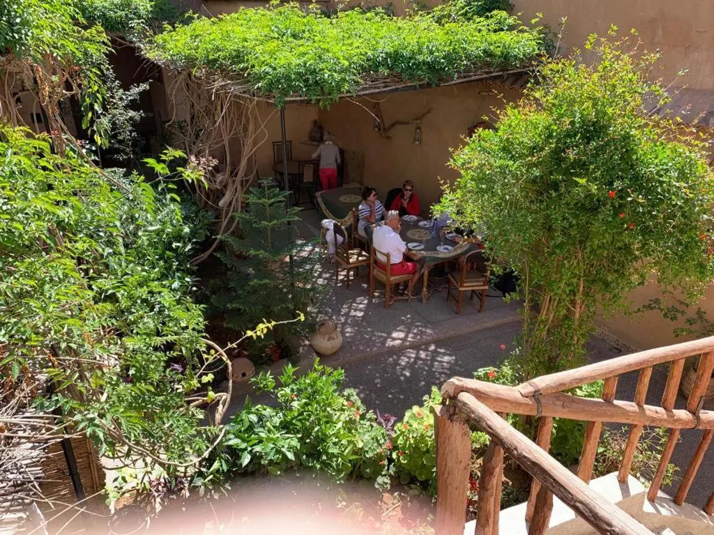 Oasis de Tiout
