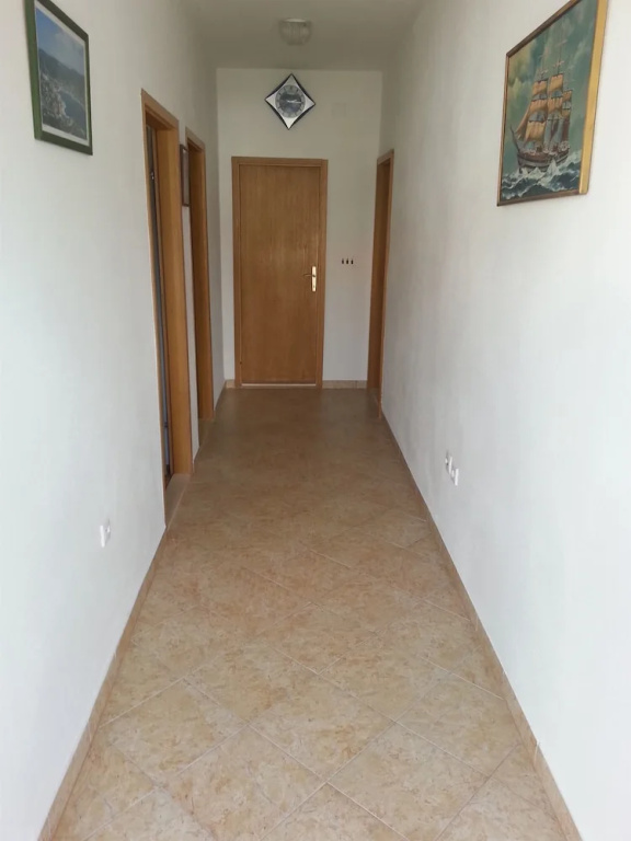Apartment Branka