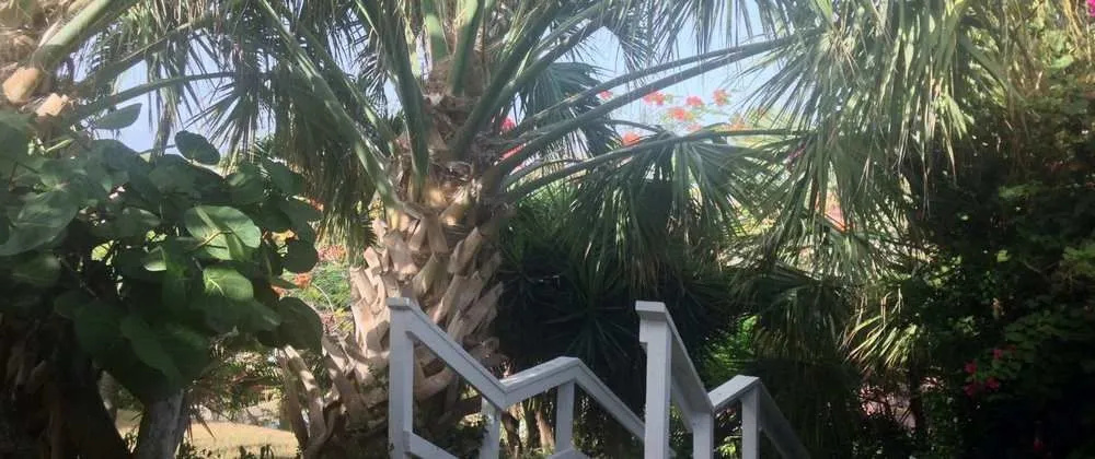 Harbour Beach Villas