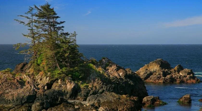 Black Rock Beach House
