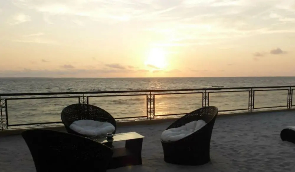 Royal Palm