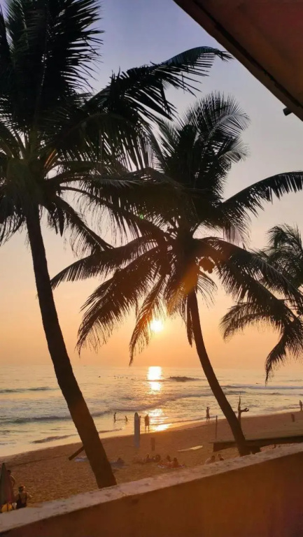 Hansa Surf Hotel