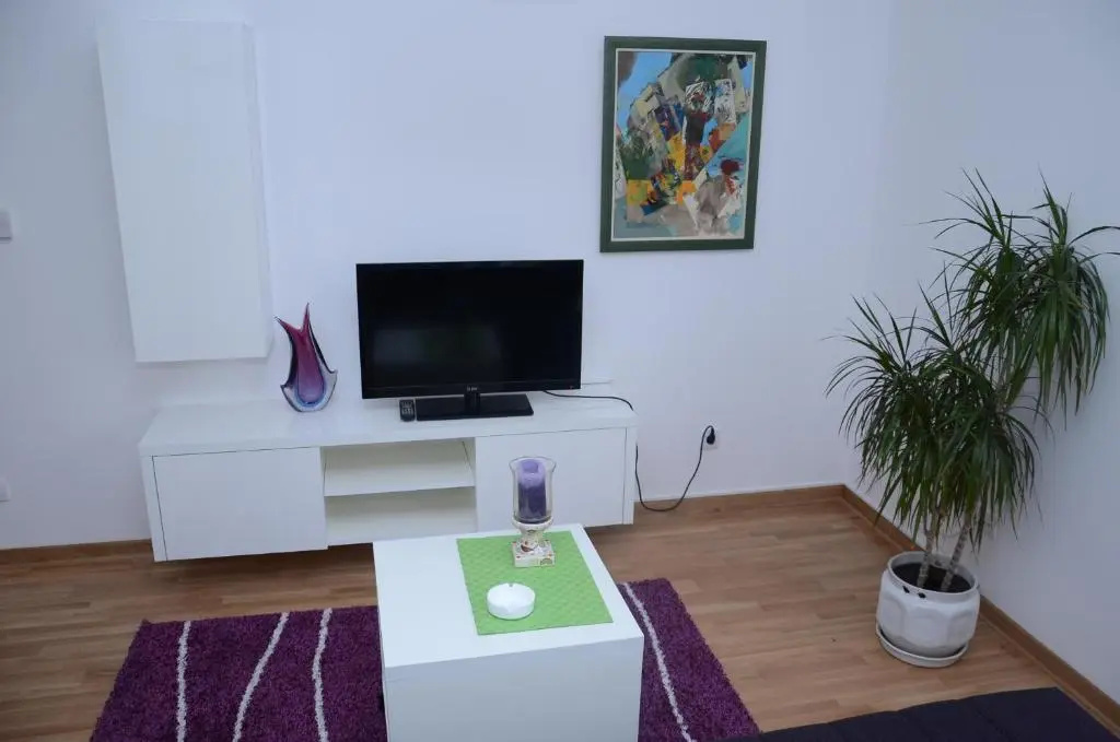 Sekula's City Center Apartment