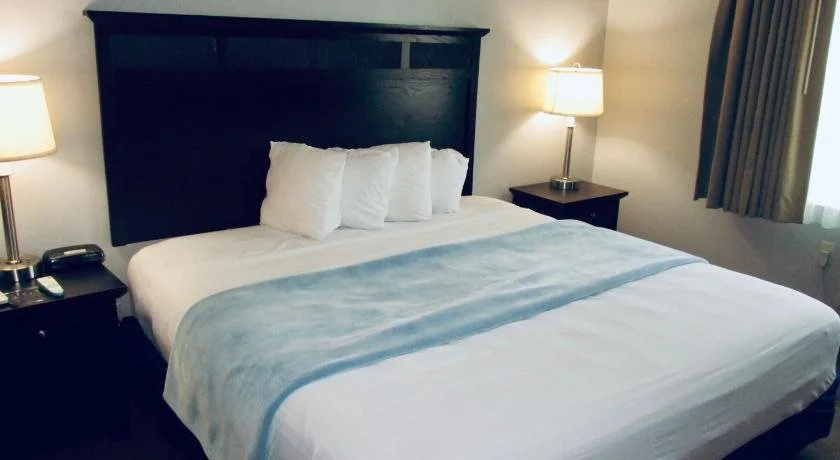 The Avenue Hotel