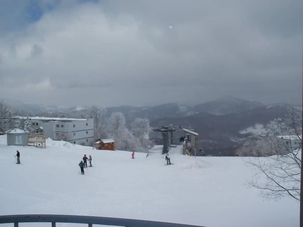 Sugar Ski & Country Club Unit 531 Silver