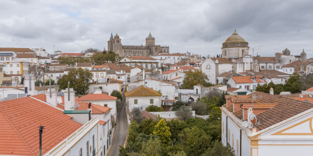 Evora Olive Hotel