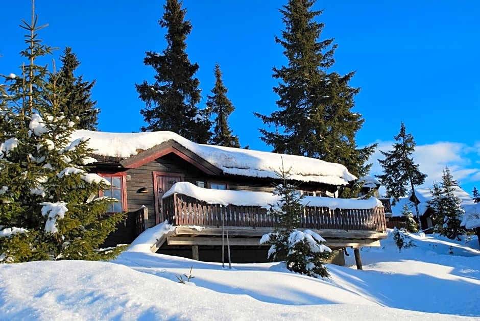 Nordseter Fjellpark, Hyttegrend