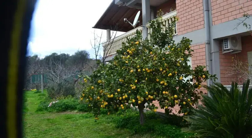 Casa Citti