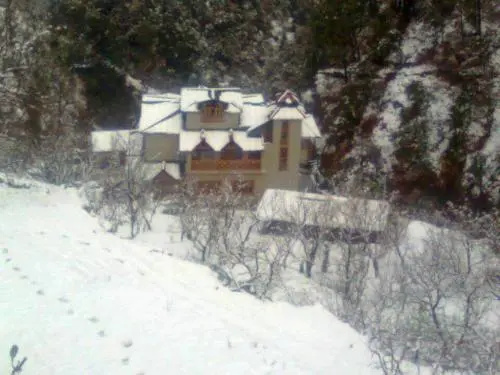 Stay Apart Wood Castle Resort