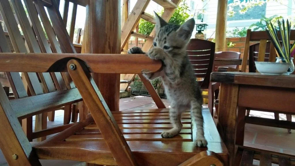 Nhat Huy Garden Guesthouse