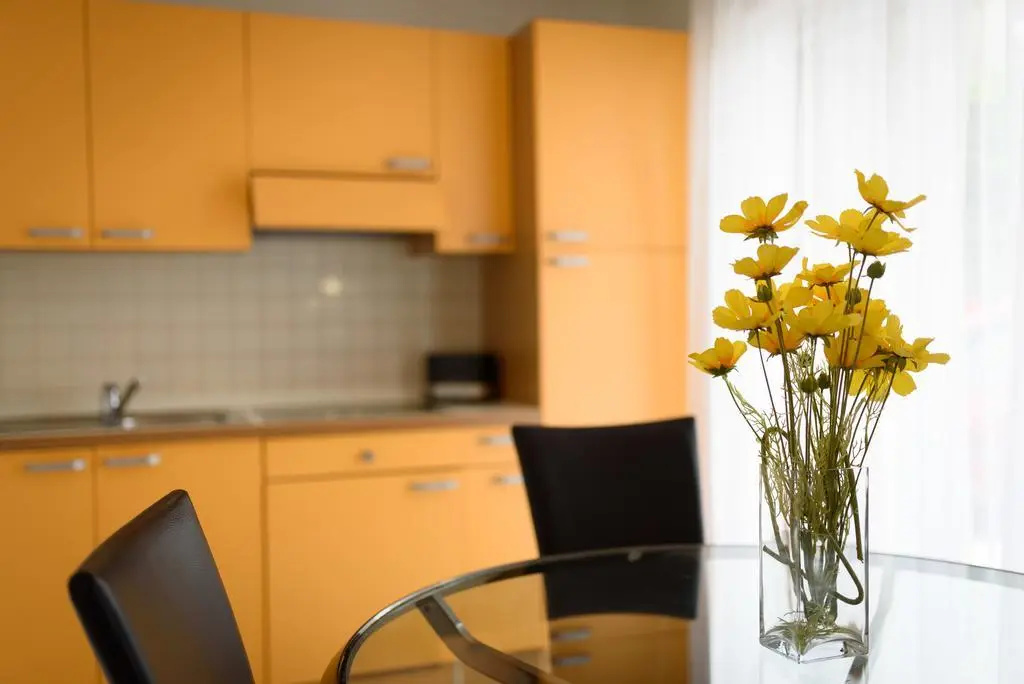 Apartments Salona